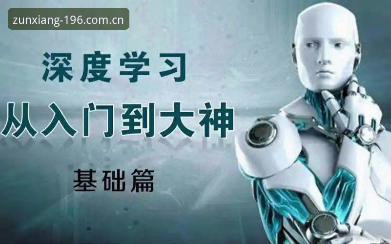 196体育登录入口使用技巧全解析：新手必备的深度操作指南